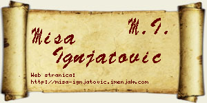 Miša Ignjatović vizit kartica